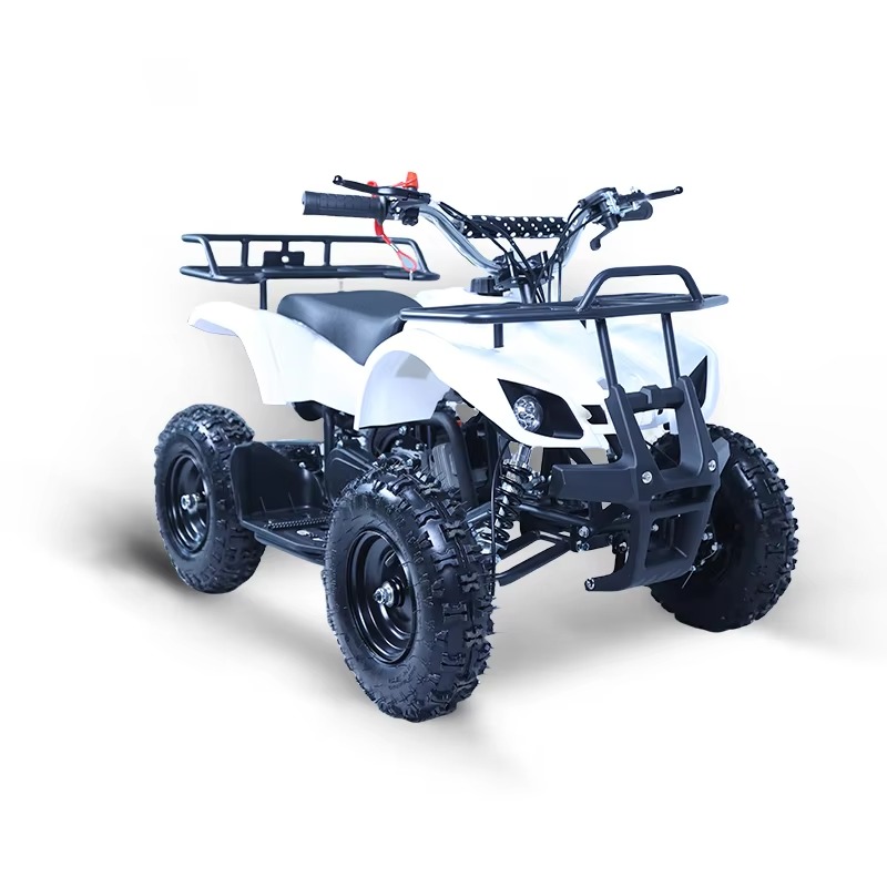 49cc Mini ATV Kinder-Quad 2-Ta – Kids Outdoor Quad Bewertung und Preis