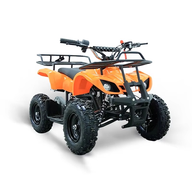 49cc Mini ATV Kinder-Quad 2-Ta – Kids Outdoor Quad Bewertung und Preis