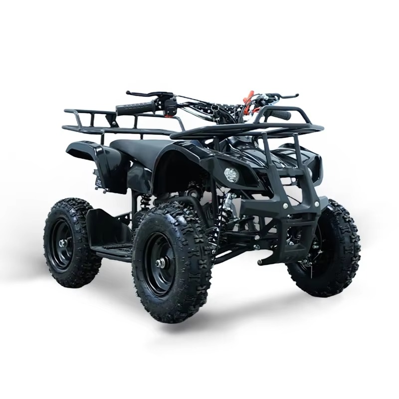 49cc Mini ATV Kinder-Quad 2-Ta – Kids Outdoor Quad Bewertung und Preis