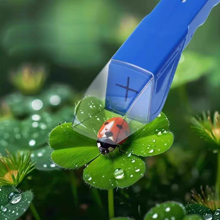 Kinder-Insektenfänger-Box mit  – Kids Outdoor Nature Toys Bewertung und Preis